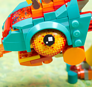 chameleon eye