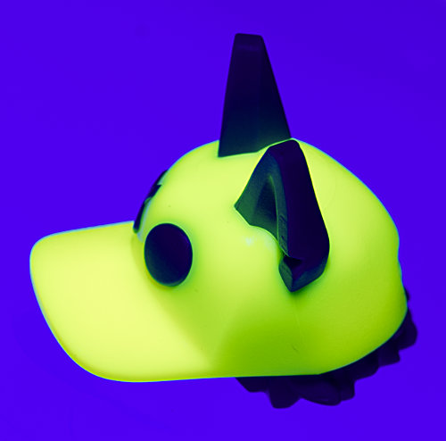 logan's hat