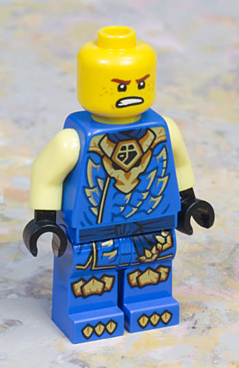 Jay front