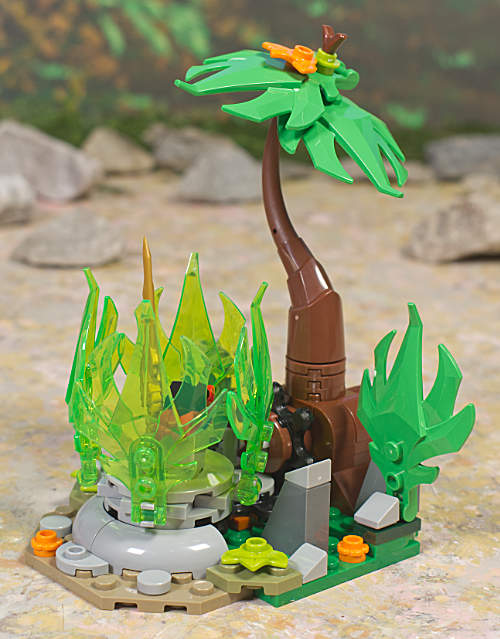 environment front