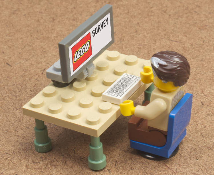 lego survey image